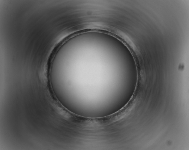 X0000103440931200809121400