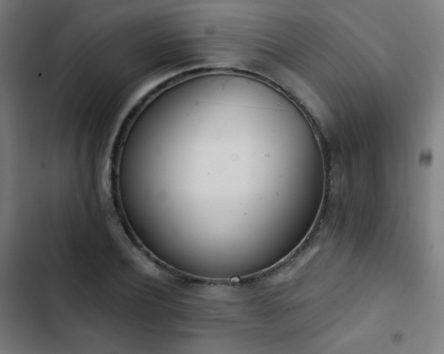 X0000103440932200809121400