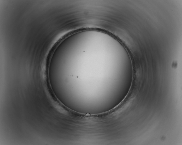 X0000103440934200809121400