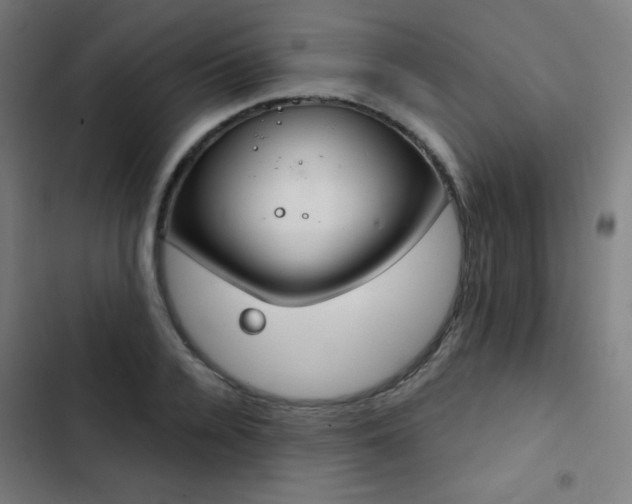 X0000103440936200809121400