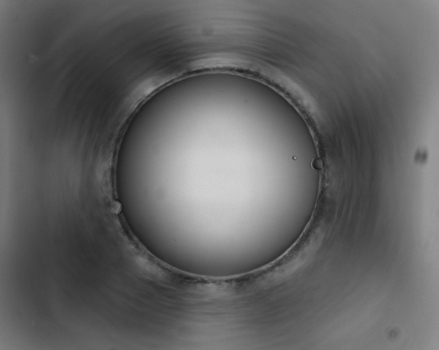 X0000103440937200809121400