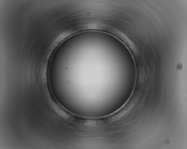 X0000103440938200809121400