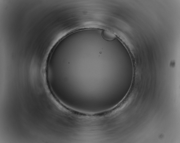 X0000103440941200809121400