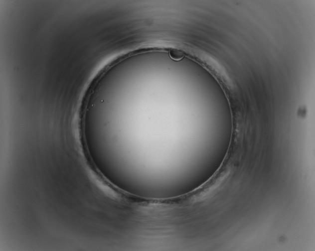 X0000103440942200809121400