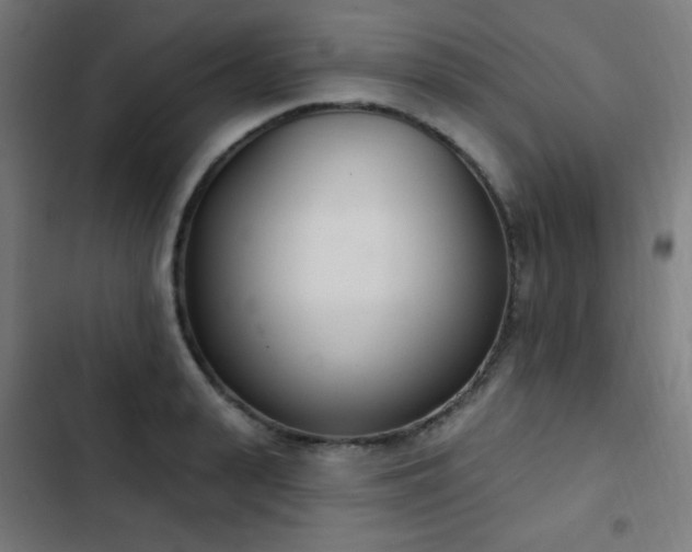 X0000103440943200809121400