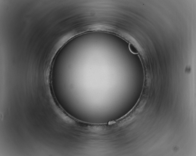 X0000103440946200809121400