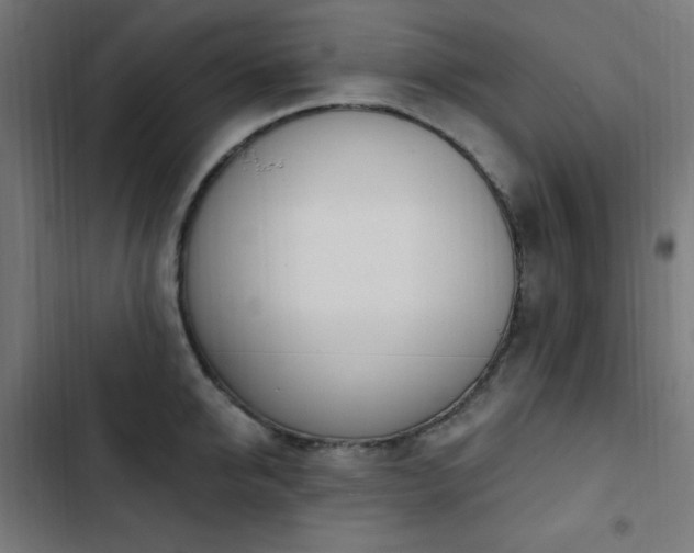 X0000103440950200809121400