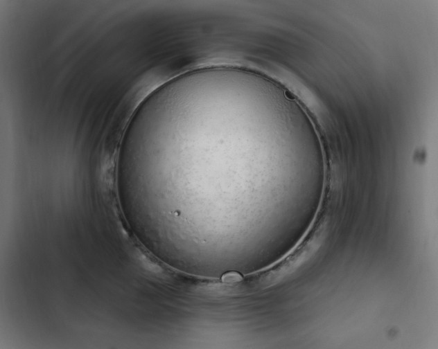 X0000103440953200809121400