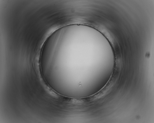 X0000103440954200809121400