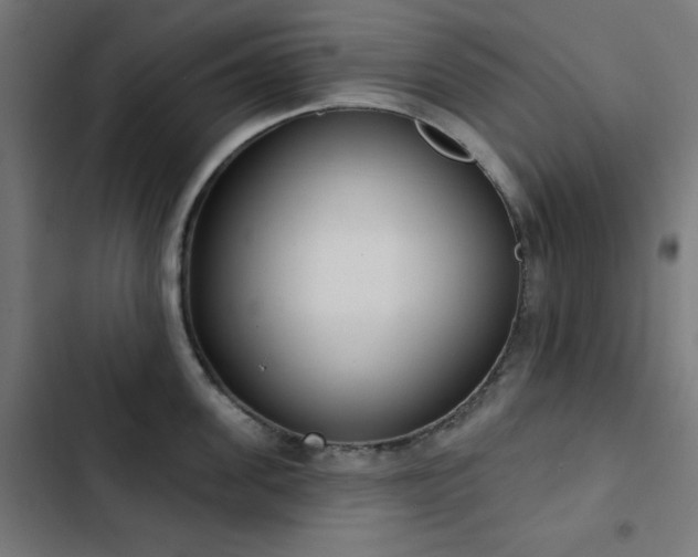 X0000103440955200809121400