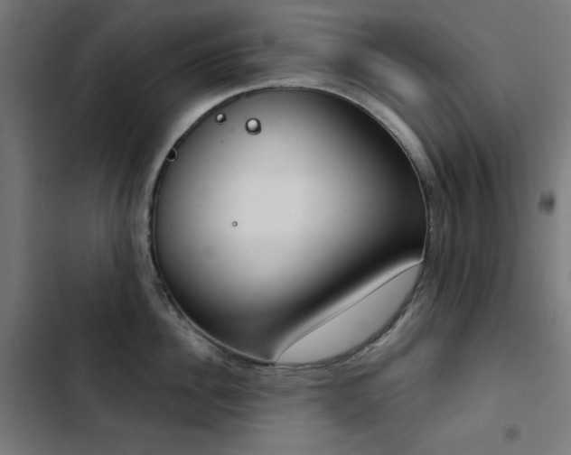 X0000103440956200809121400