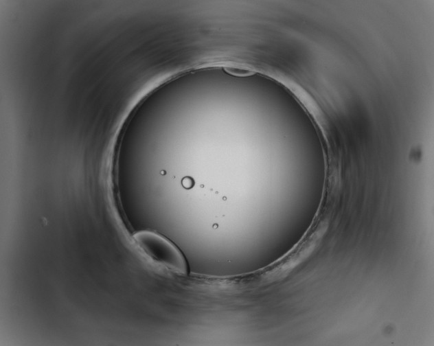 X0000103440957200809121400