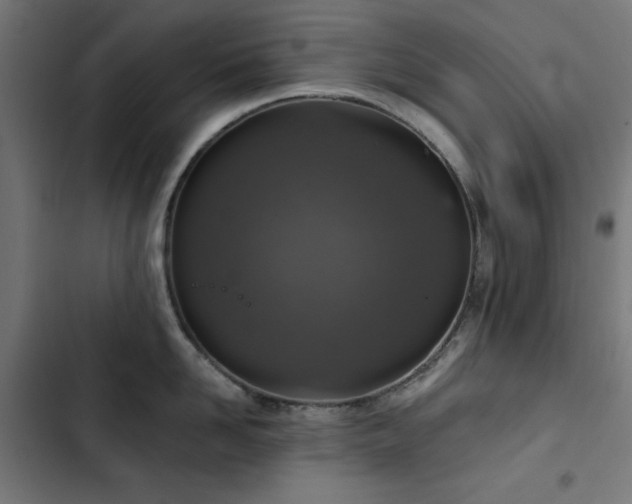 X0000103440958200809121400