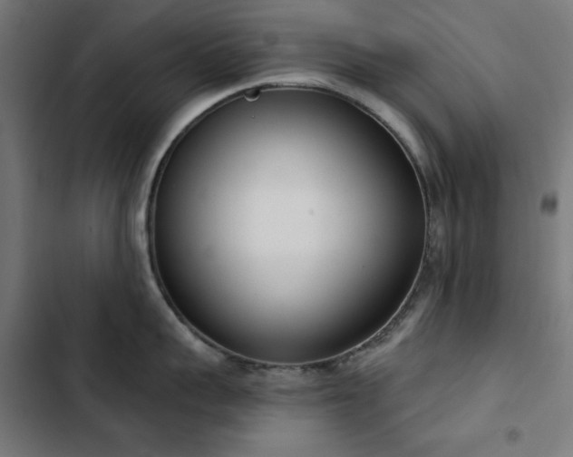 X0000103440959200809121400