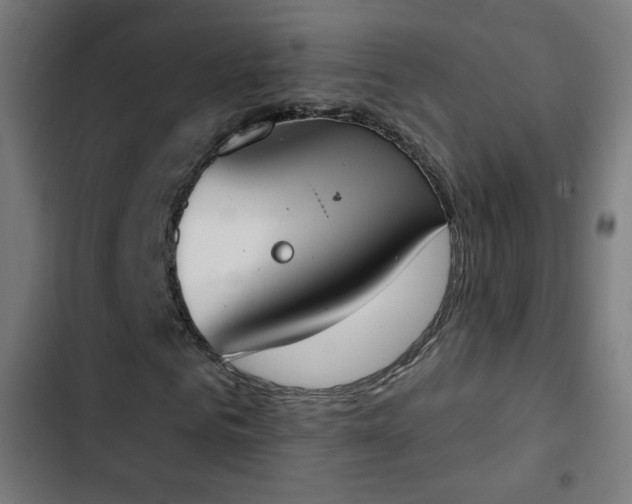 X0000103440961200809121359