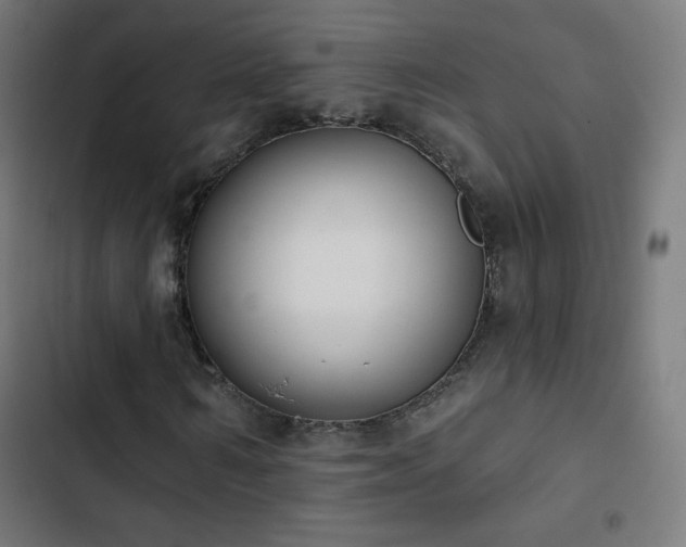 X0000103440962200809121359