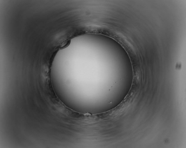 X0000103440964200809121359
