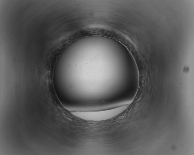 X0000103440965200809121359