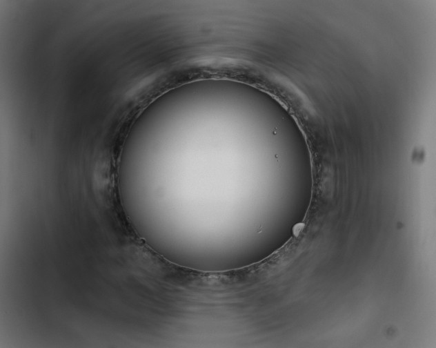 X0000103440966200809121359