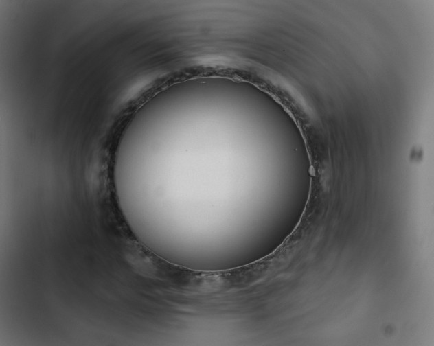 X0000103440968200809121359