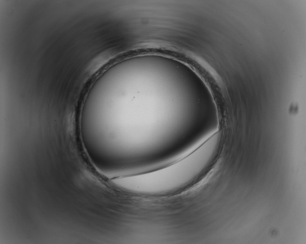 X0000103440969200809121359
