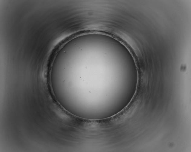 X0000103440971200809121359