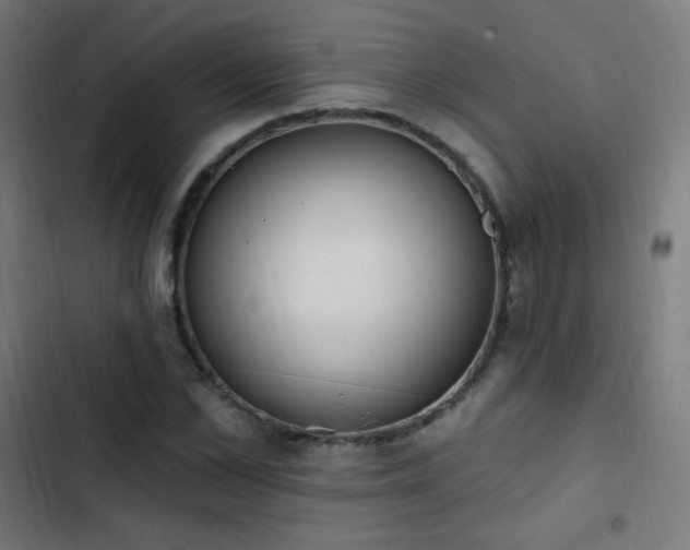 X0000103440973200809121359