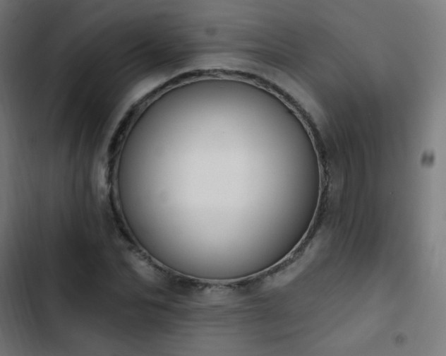 X0000103440974200809121359