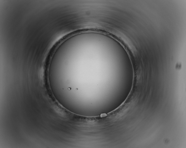X0000103440975200809121359