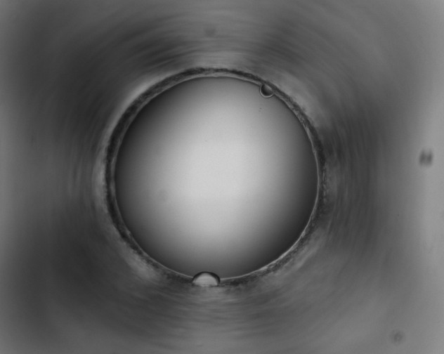 X0000103440976200809121359