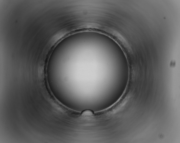 X0000103440977200809121359