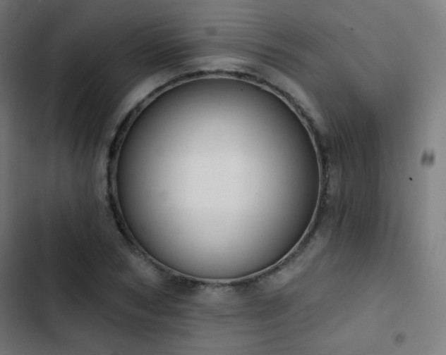 X0000103440978200809121359