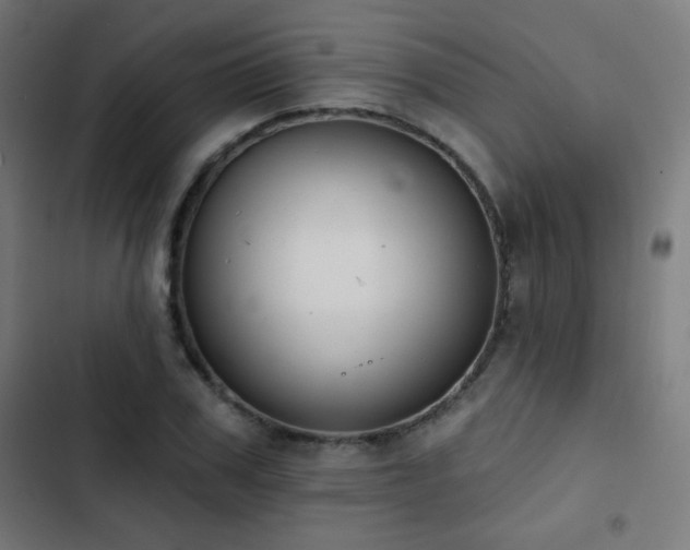 X0000103440979200809121359