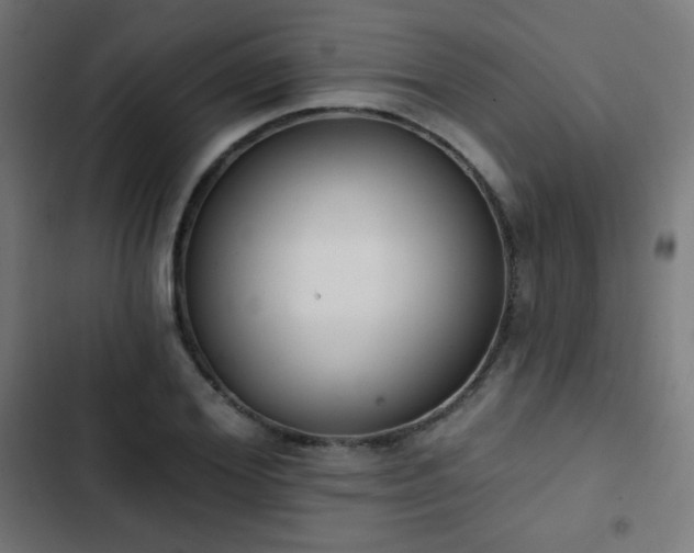 X0000103440980200809121359
