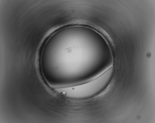 X0000103440981200809121359