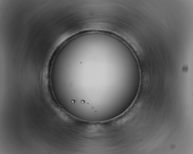 X0000103440982200809121359