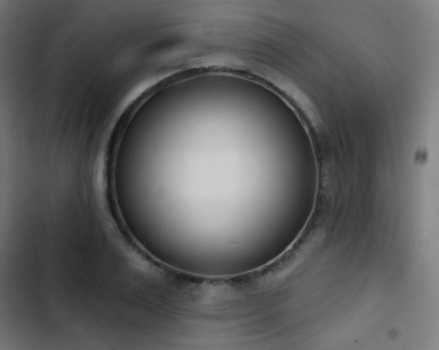 X0000103440983200809121359
