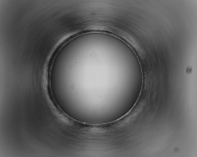 X0000103440984200809121359