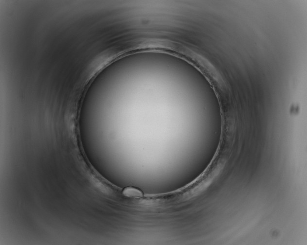 X0000103440985200809121359