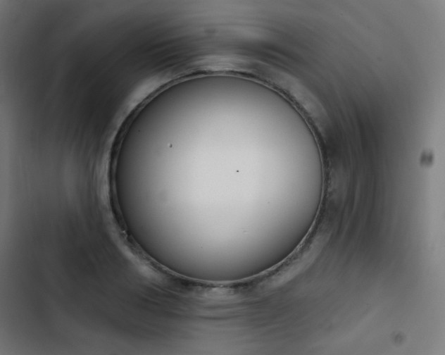 X0000103440986200809121359