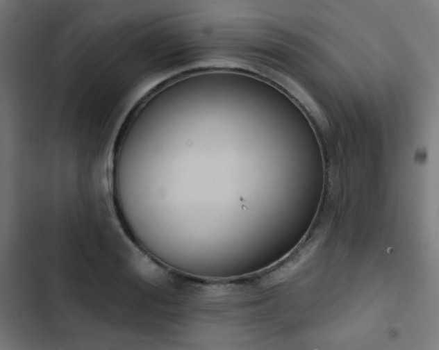 X0000103440988200809121359