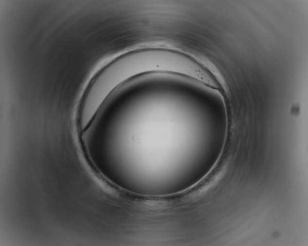 X0000103440989200809121359