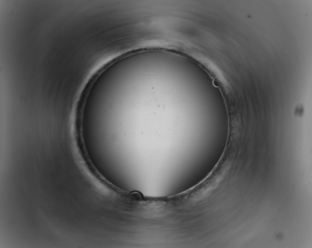 X0000103440991200809121359