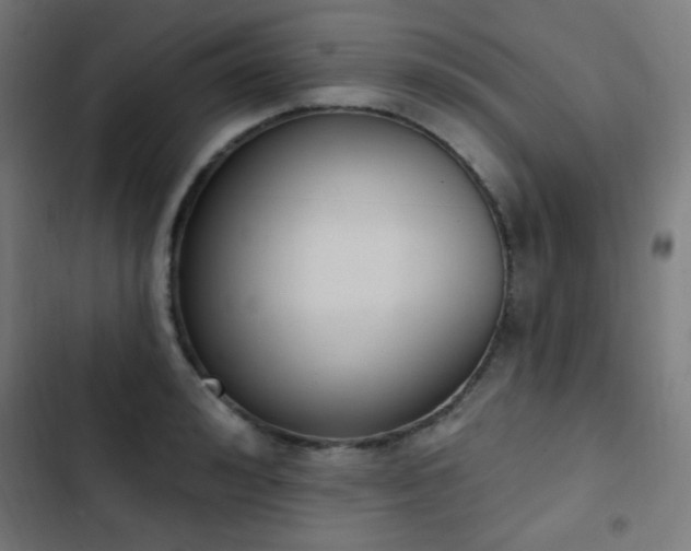 X0000103440992200809121359