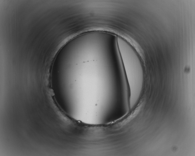 X0000103440993200809121359