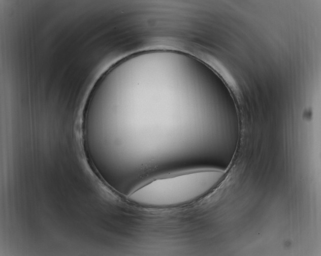 X0000103440996200809121359