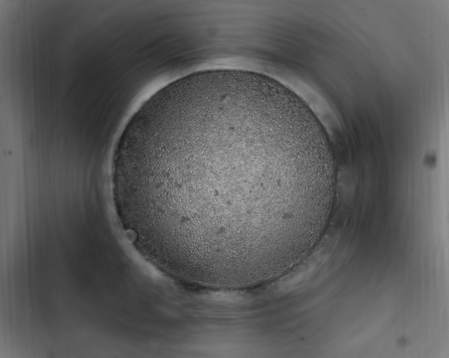 X0000103440998200809121359