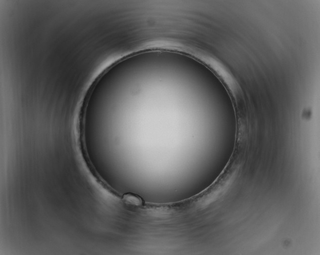 X0000103440999200809121359