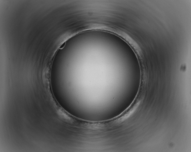 X0000103441001200809121359
