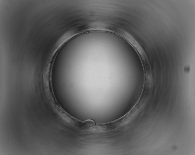 X0000103441002200809121359